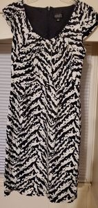 Adriana Papell Woman's Dress